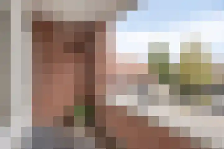 Pijnappelsche Poort 14 's-Hertogenbosch thumbnail 29