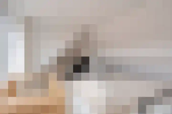 Pijnappelsche Poort 14 's-Hertogenbosch thumbnail 30
