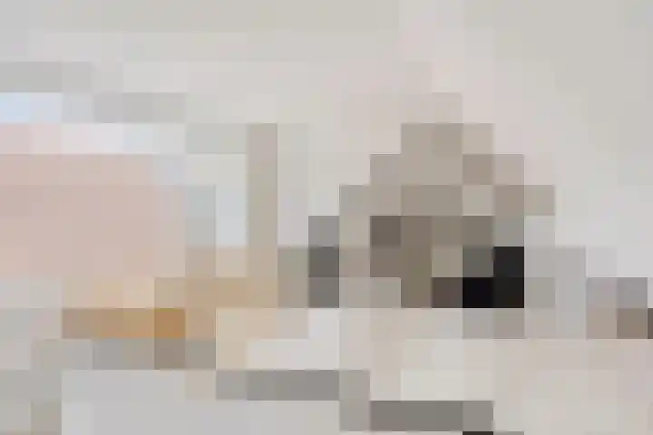 Pijnappelsche Poort 14 's-Hertogenbosch thumbnail 32
