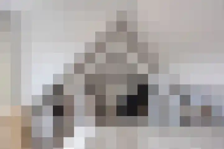 Pijnappelsche Poort 14 's-Hertogenbosch thumbnail 33
