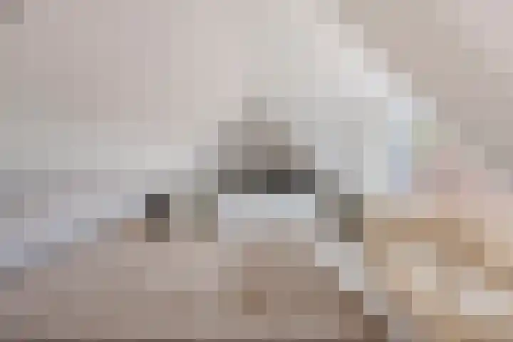 Pijnappelsche Poort 14 's-Hertogenbosch thumbnail 34