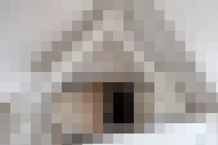 Pijnappelsche Poort 14 's-Hertogenbosch thumbnail 36