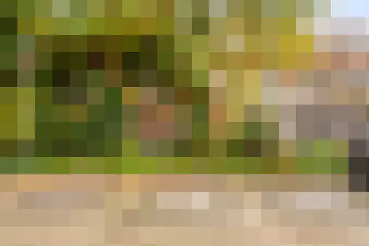 Pijnappelsche Poort 14 's-Hertogenbosch thumbnail 39