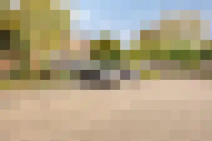 Pijnappelsche Poort 14 's-Hertogenbosch thumbnail 40