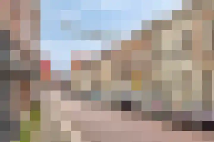 Pijnappelsche Poort 14 's-Hertogenbosch thumbnail 42
