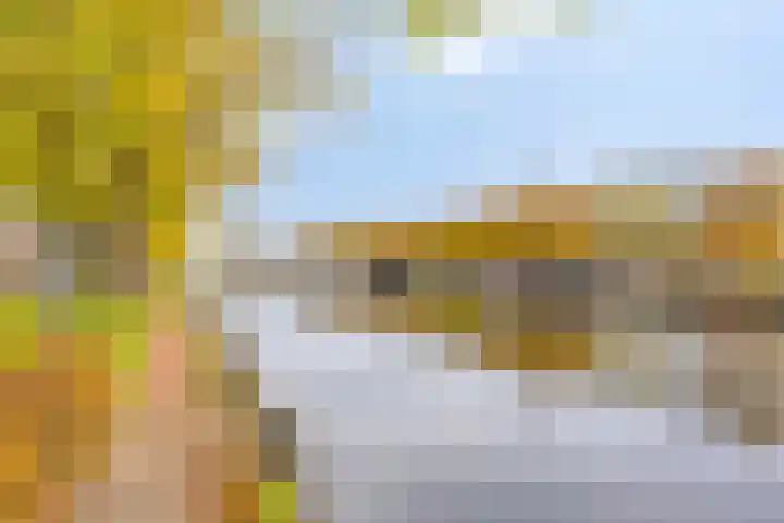 Pijnappelsche Poort 14 's-Hertogenbosch thumbnail 45