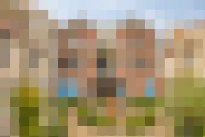 Pijnappelsche Poort 14 's-Hertogenbosch thumbnail 7