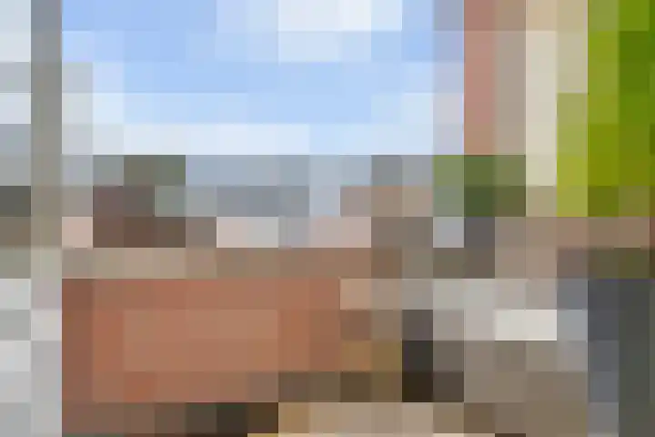 Pijnappelsche Poort 16 's-Hertogenbosch thumbnail 17