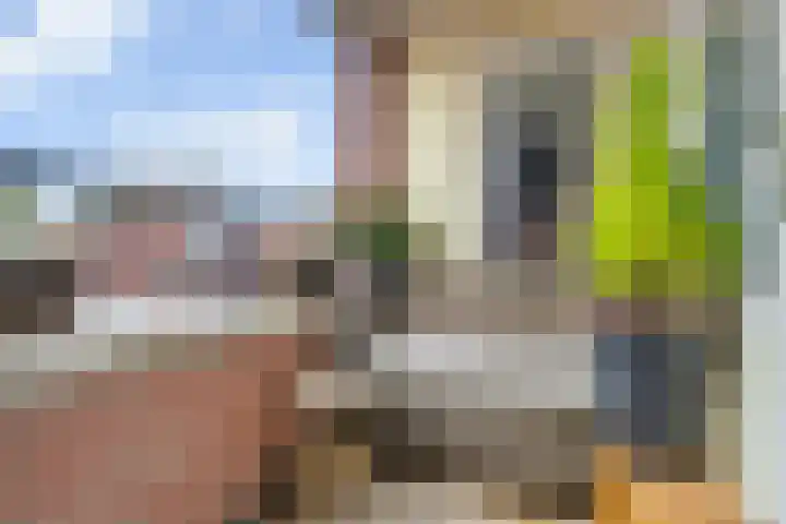 Pijnappelsche Poort 16 's-Hertogenbosch thumbnail 19