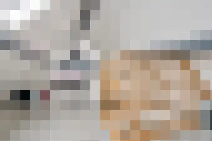 Pijnappelsche Poort 16 's-Hertogenbosch thumbnail 21