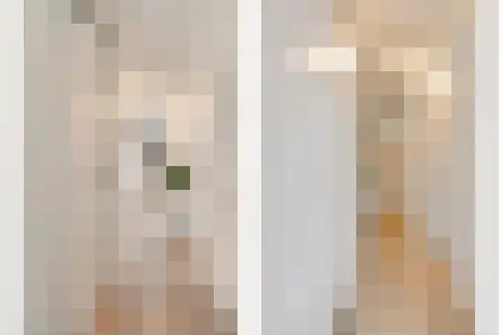 Pijnappelsche Poort 16 's-Hertogenbosch thumbnail 30