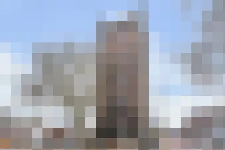 Pijnappelsche Poort 16 's-Hertogenbosch thumbnail 42