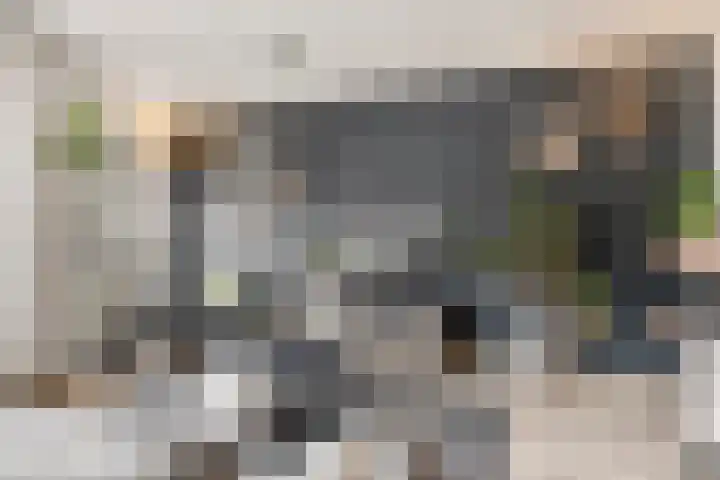 Pijnappelsche Poort 16 's-Hertogenbosch thumbnail 6