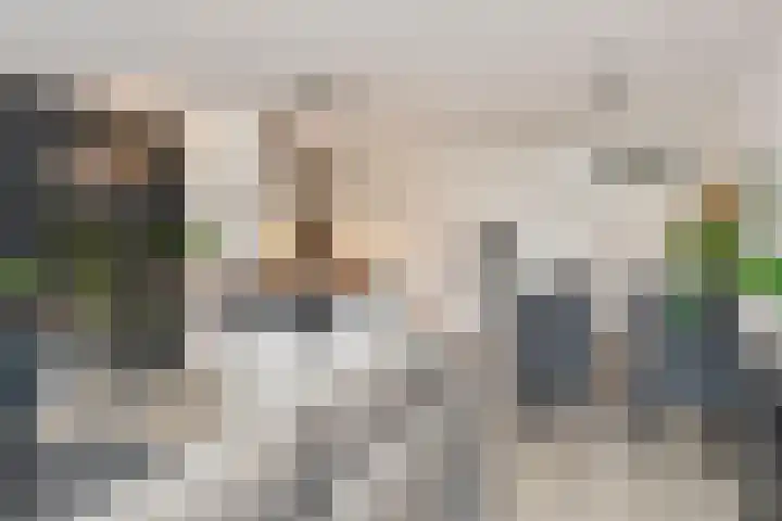 Pijnappelsche Poort 16 's-Hertogenbosch thumbnail 7