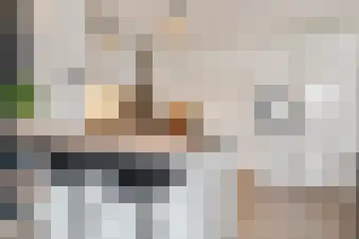 Pijnappelsche Poort 16 's-Hertogenbosch thumbnail 8