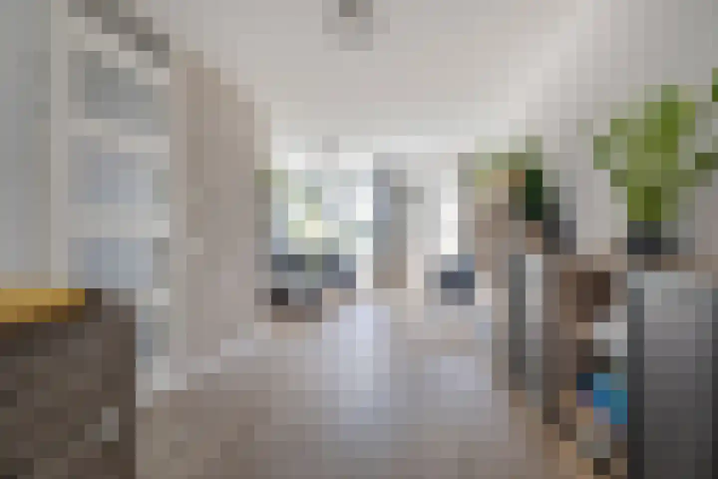 Pijnboom 2 Meijel thumbnail 10