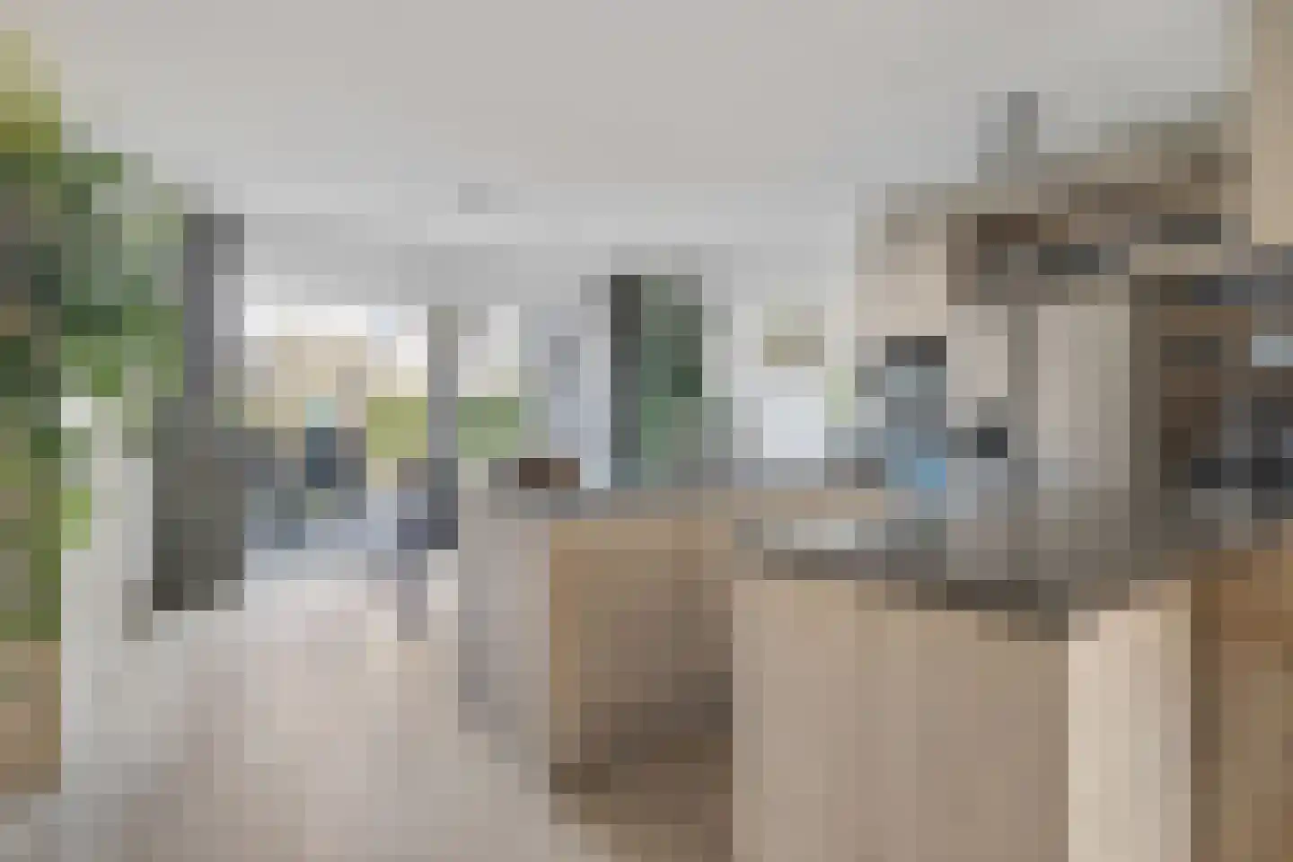 Pijnboom 2 Meijel thumbnail 12