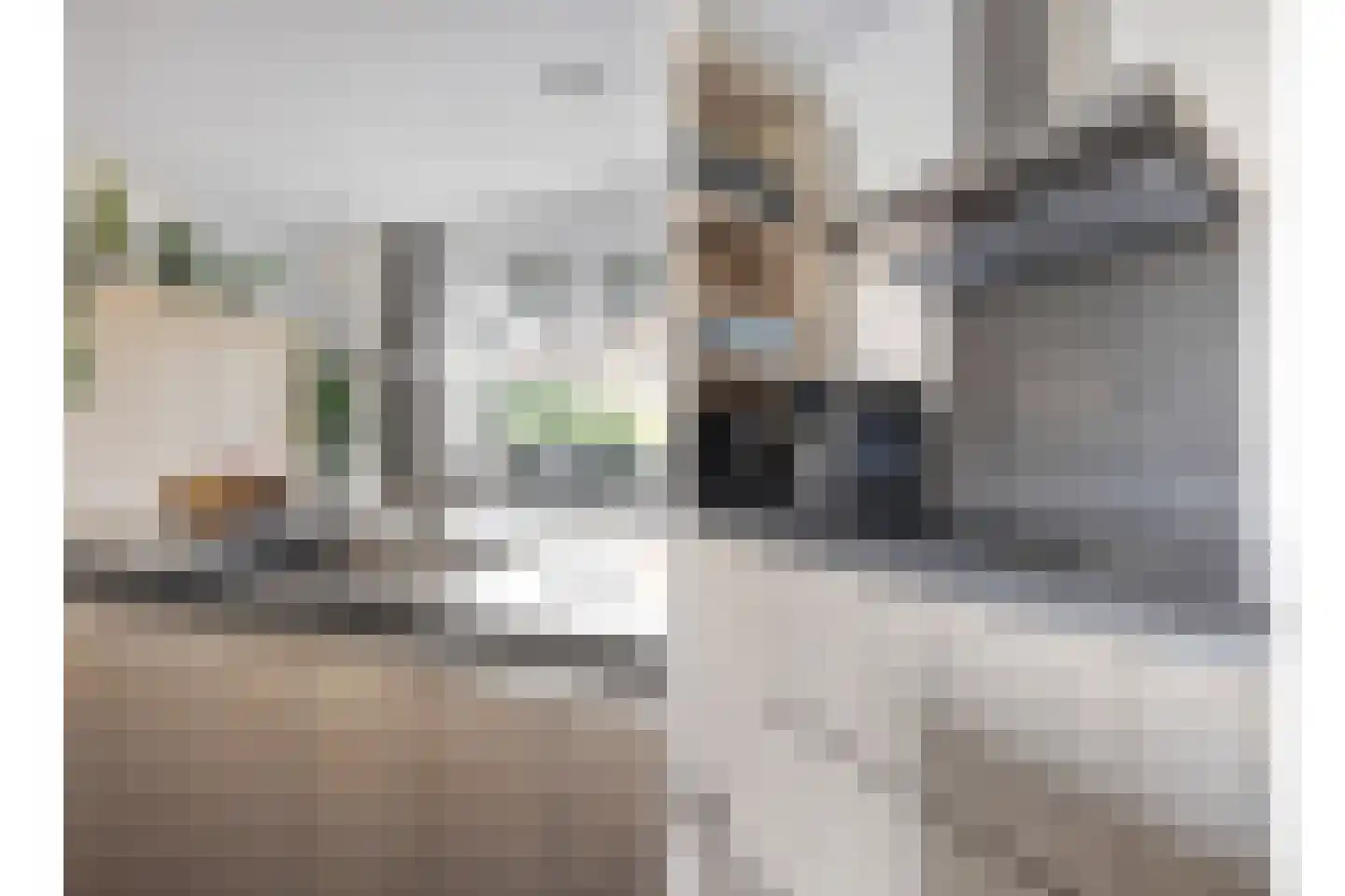 Pijnboom 2 Meijel thumbnail 13