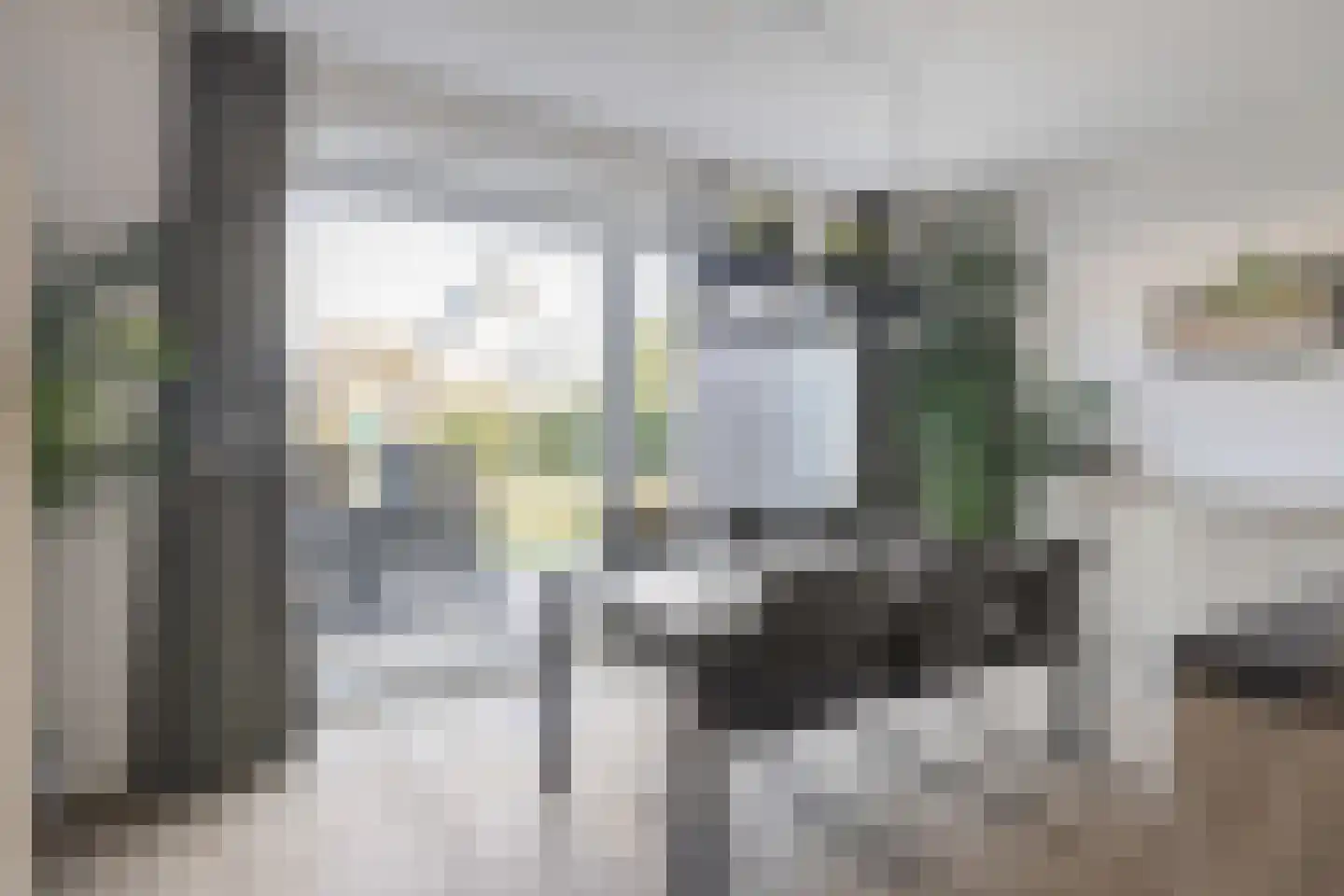 Pijnboom 2 Meijel thumbnail 14