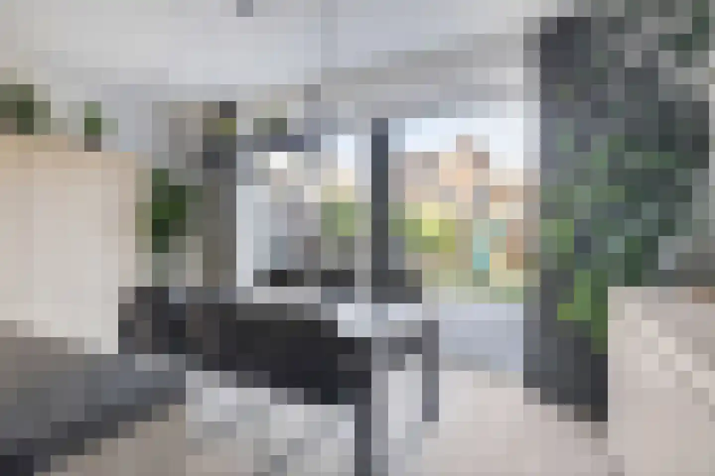 Pijnboom 2 Meijel thumbnail 15
