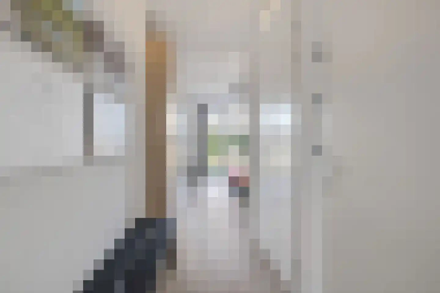 Pijnboom 2 Meijel thumbnail 19