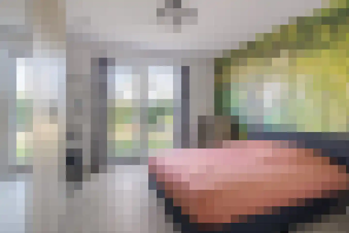 Pijnboom 2 Meijel thumbnail 20