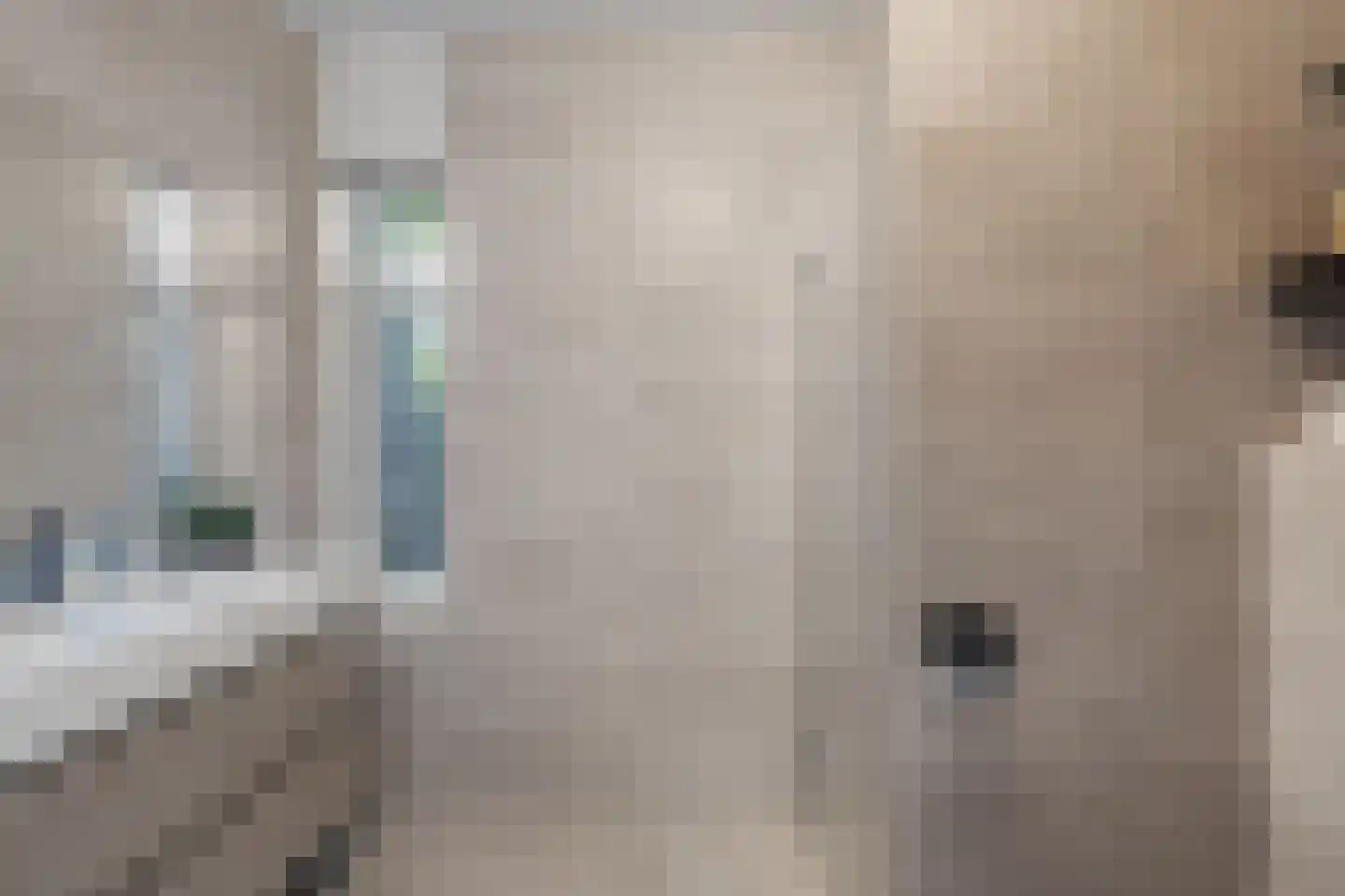 Pijnboom 2 Meijel thumbnail 22