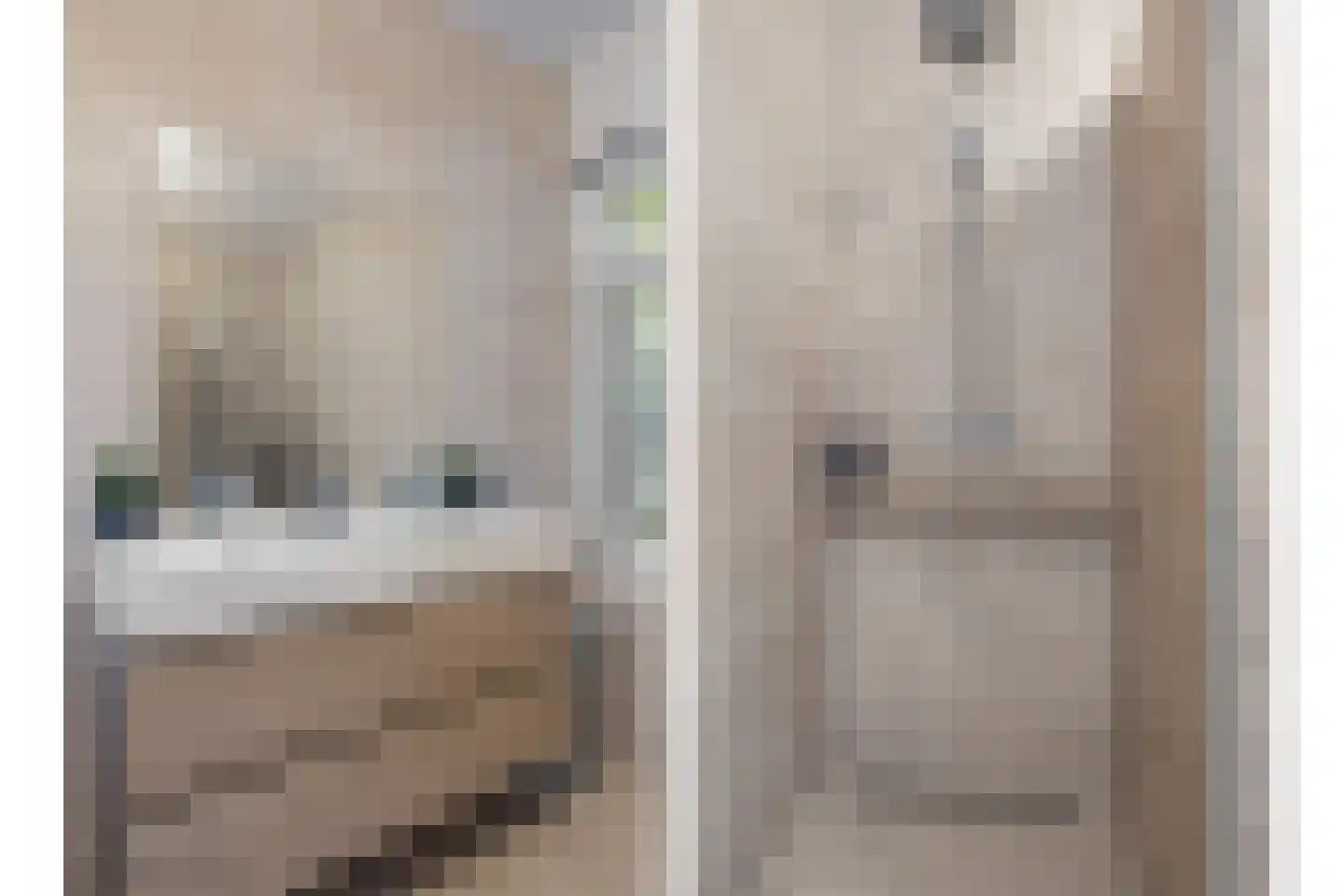 Pijnboom 2 Meijel thumbnail 23