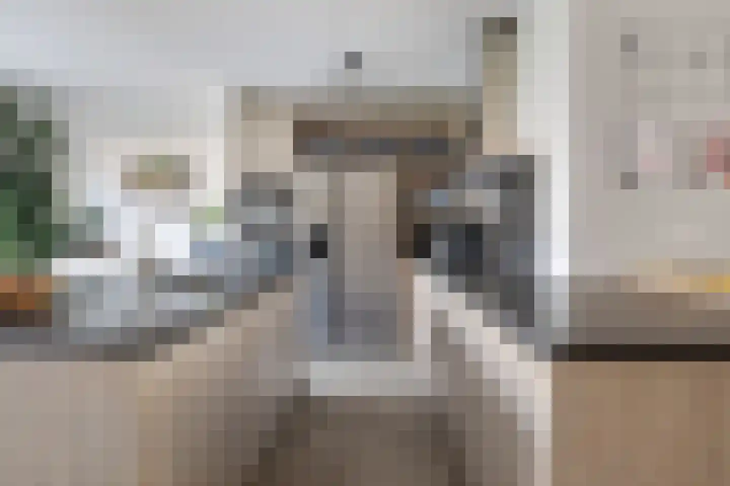 Pijnboom 2 Meijel foto 3