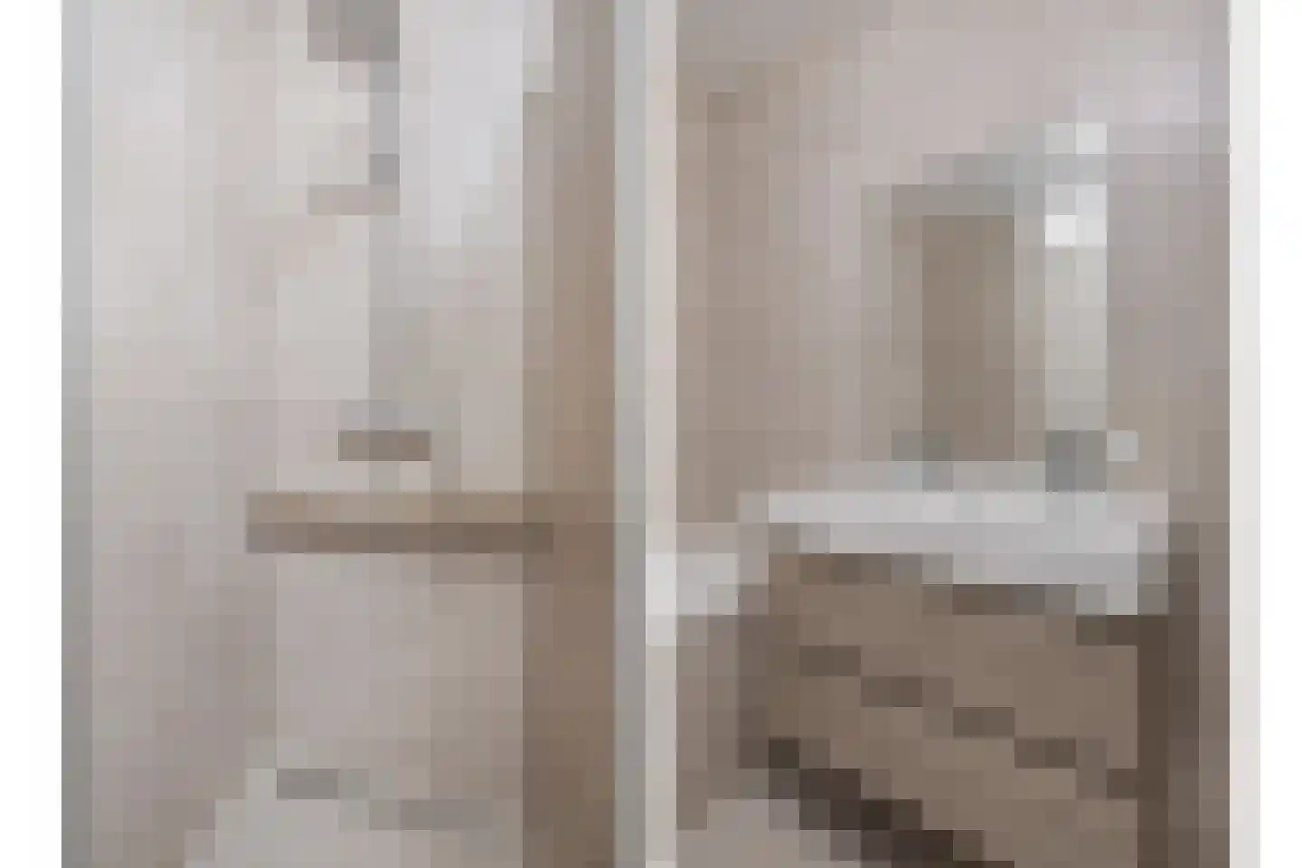 Pijnboom 2 Meijel thumbnail 31