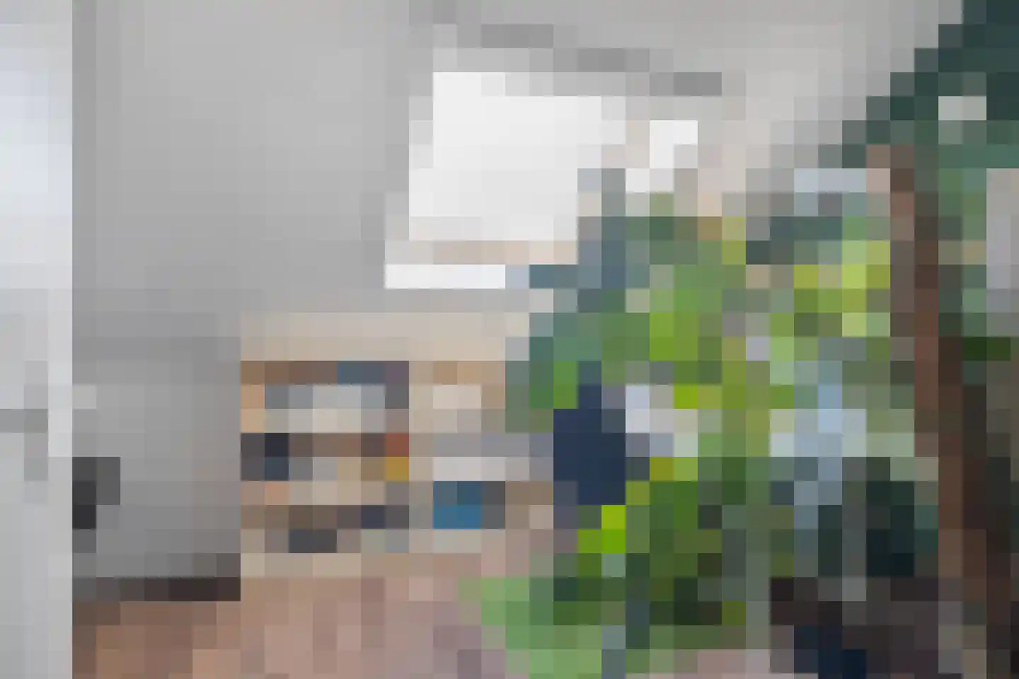 Pijnboom 2 Meijel thumbnail 37