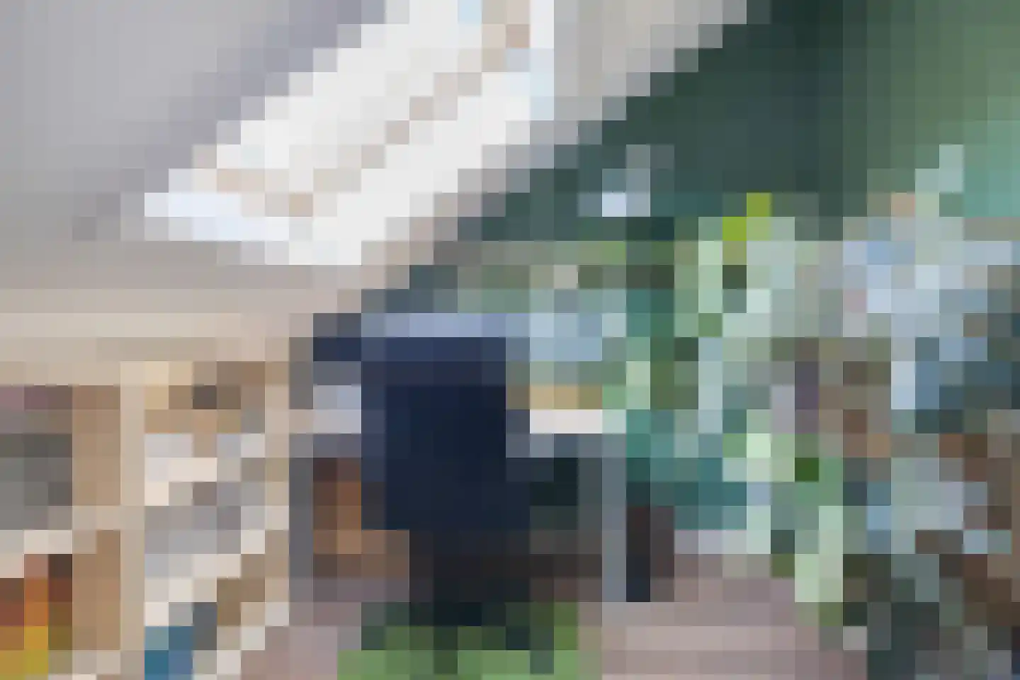 Pijnboom 2 Meijel thumbnail 39