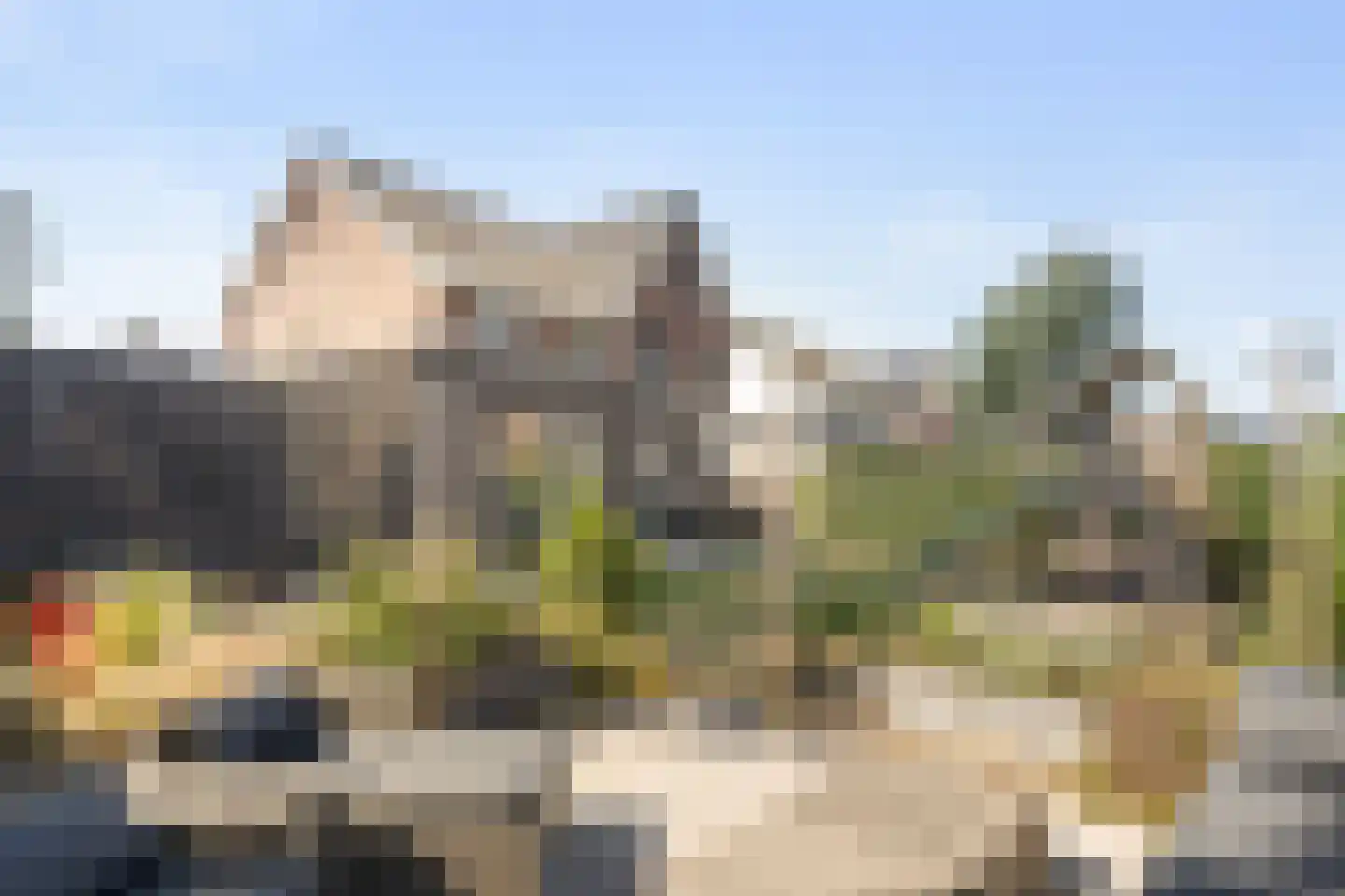 Pijnboom 2 Meijel thumbnail 4