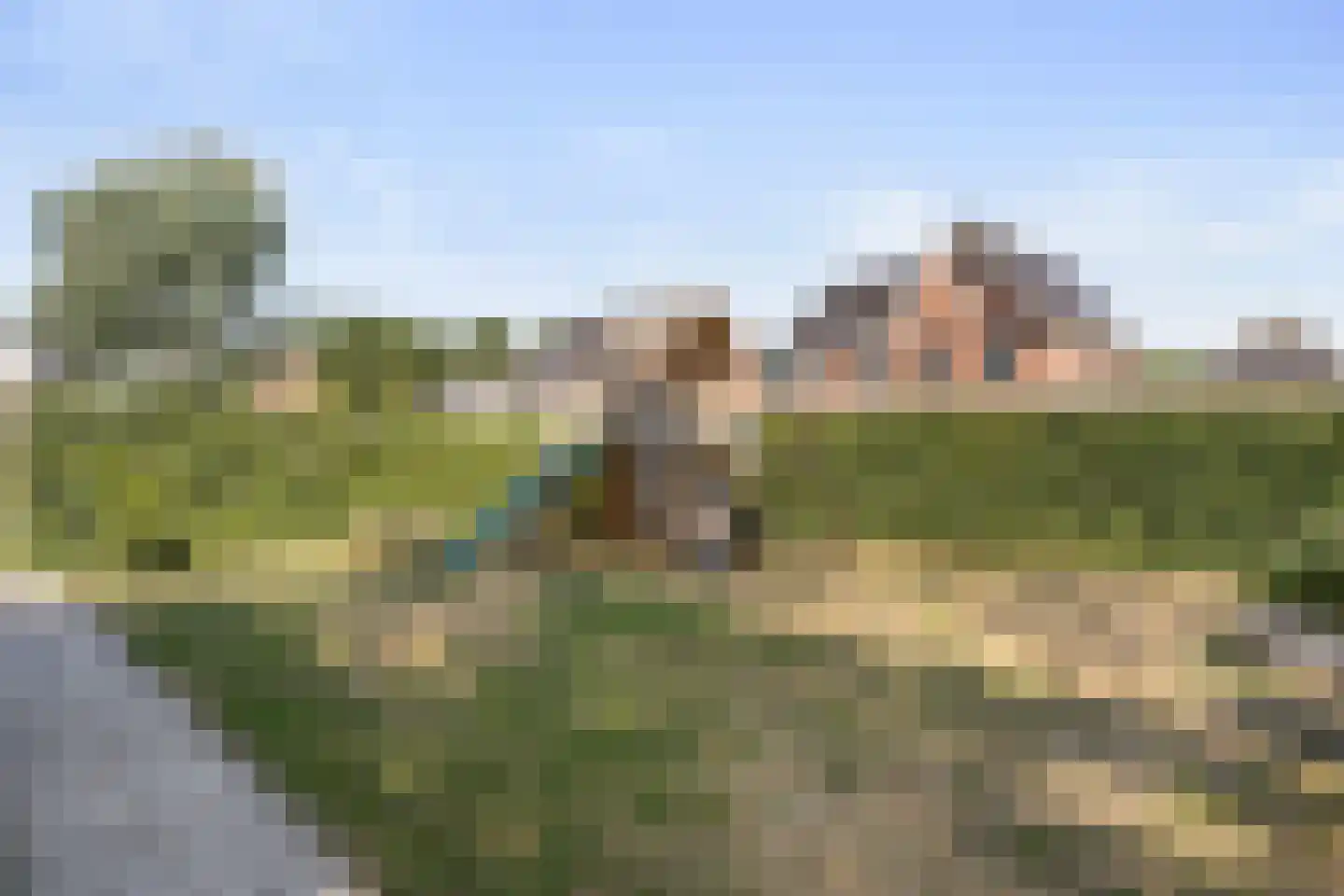 Pijnboom 2 Meijel thumbnail 40