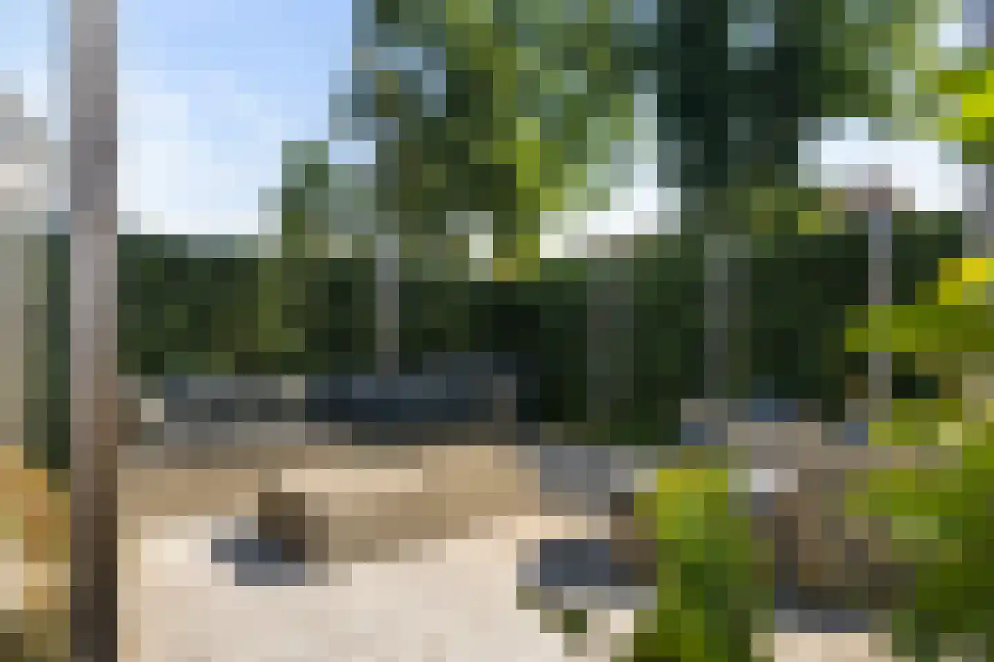 Pijnboom 2 Meijel thumbnail 41