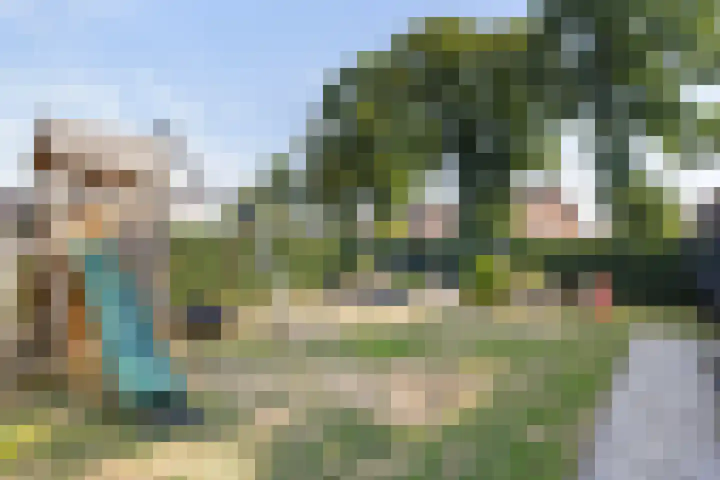 Pijnboom 2 Meijel thumbnail 45