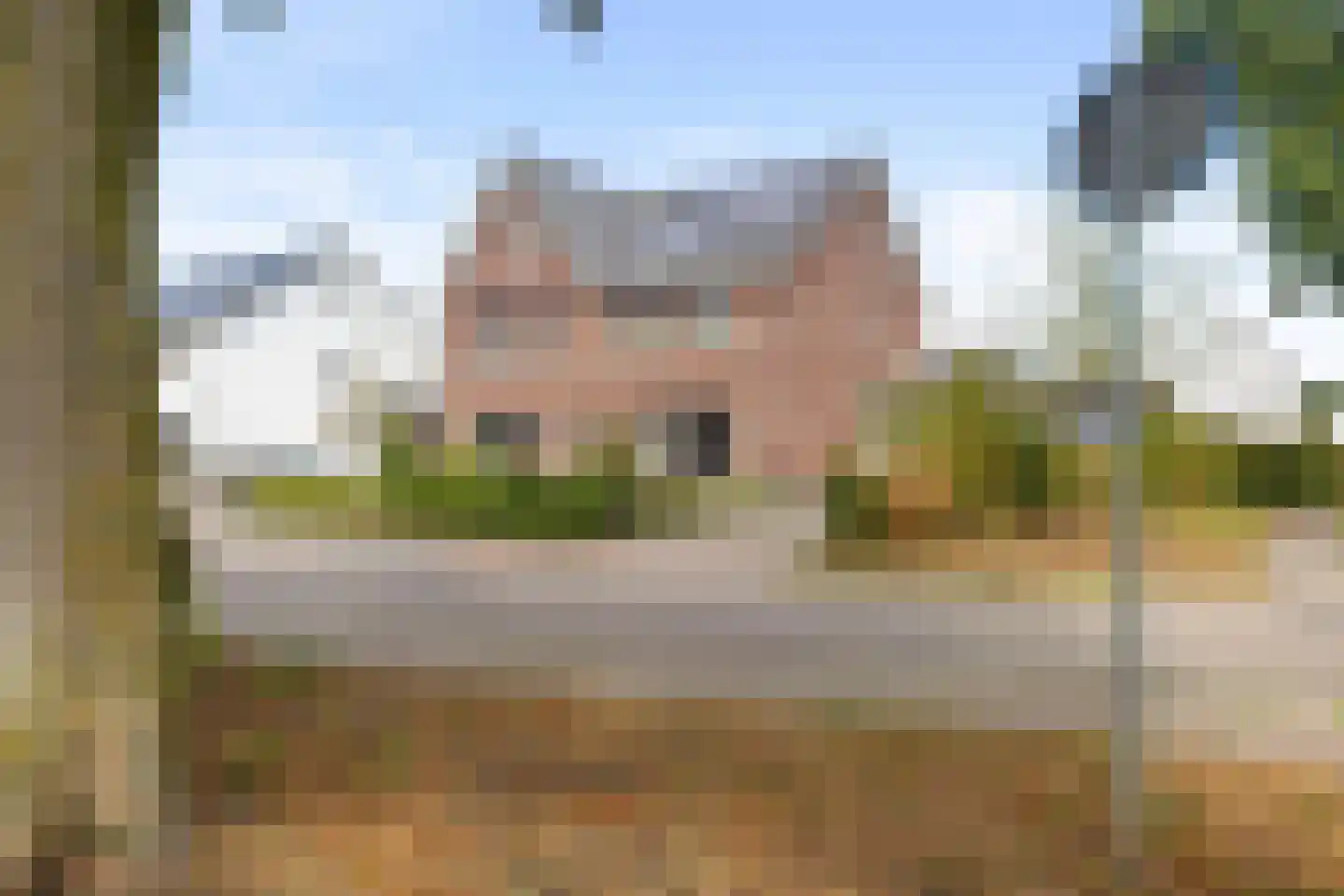 Pijnboom 2 Meijel thumbnail 48