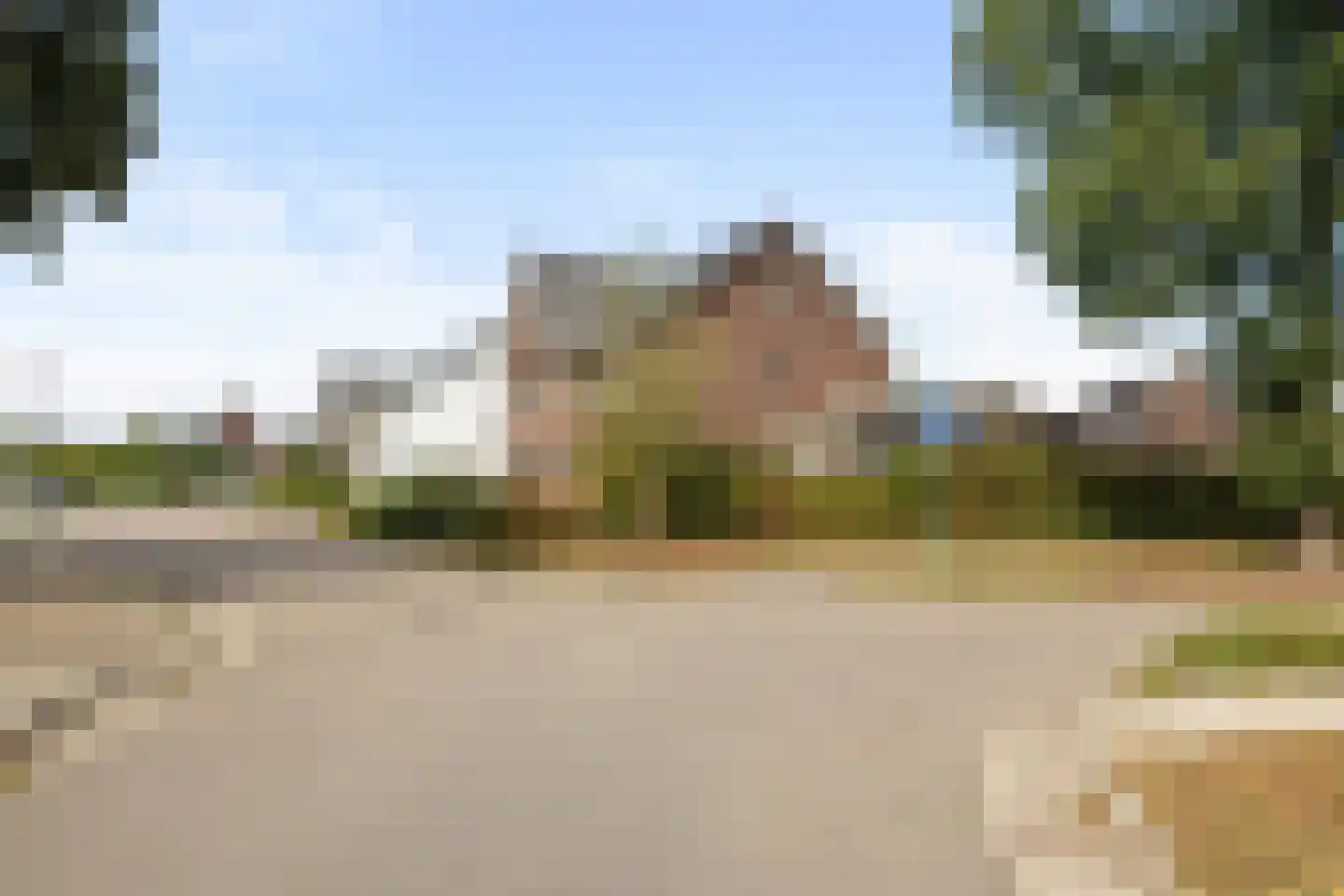 Pijnboom 2 Meijel thumbnail 50