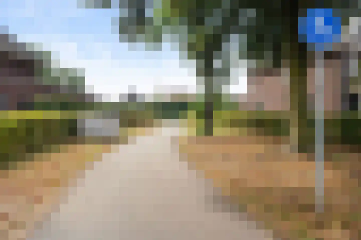Pijnboom 2 Meijel thumbnail 51