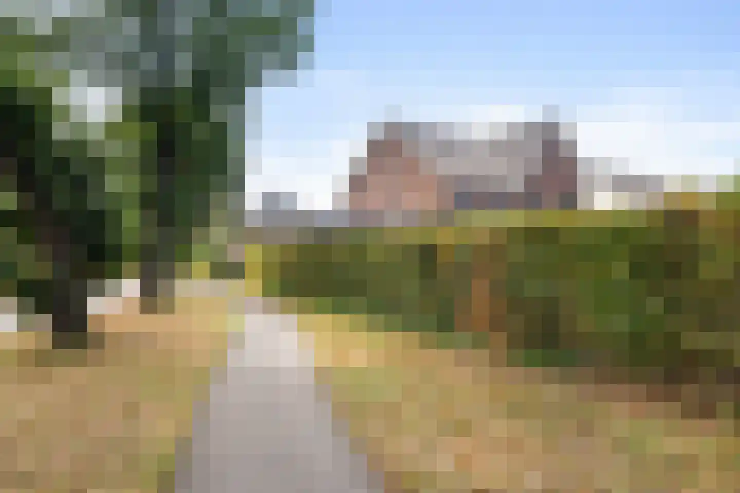 Pijnboom 2 Meijel thumbnail 53