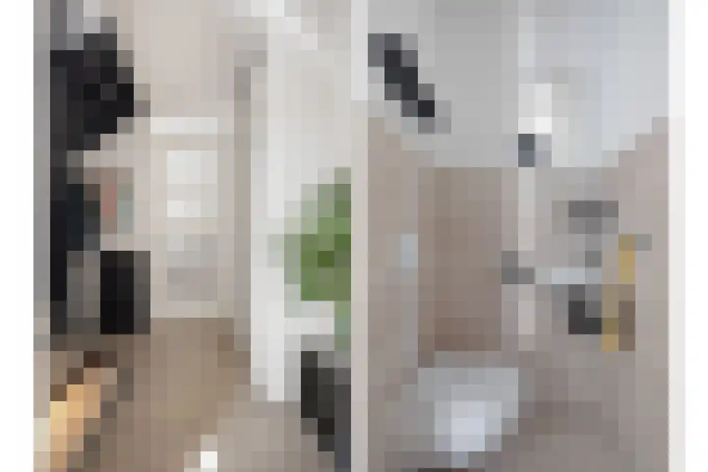 Pijnboom 2 Meijel thumbnail 6