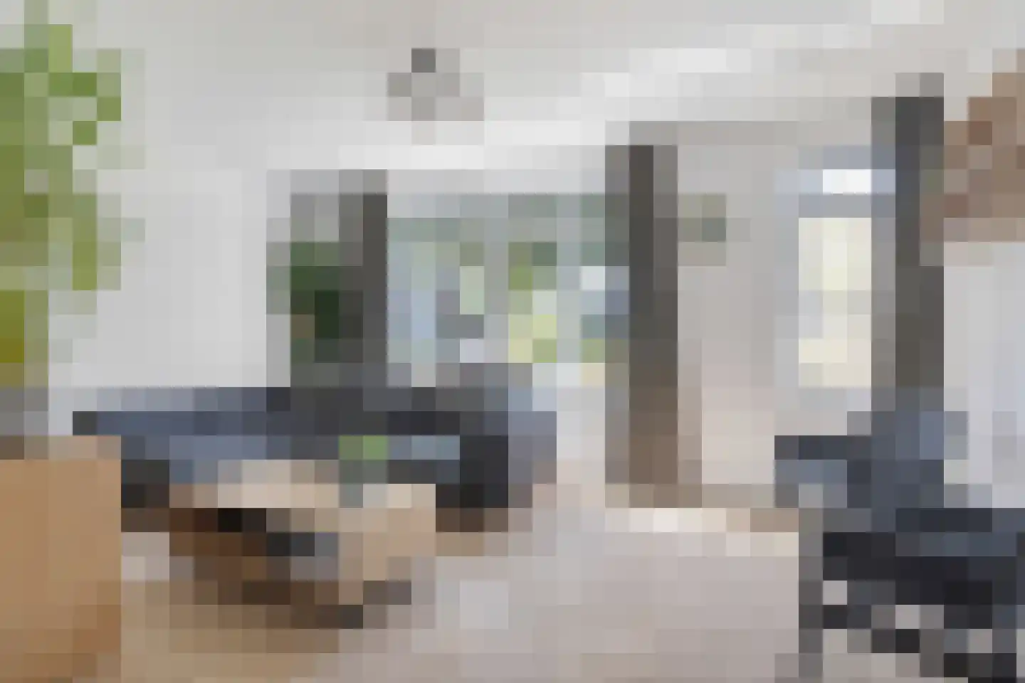 Pijnboom 2 Meijel thumbnail 7