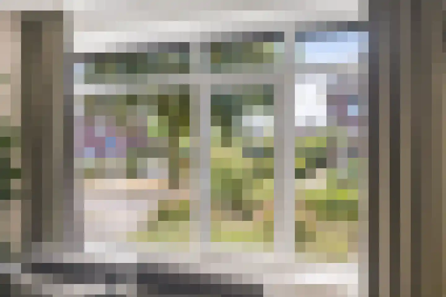 Pijnboom 2 Meijel thumbnail 8