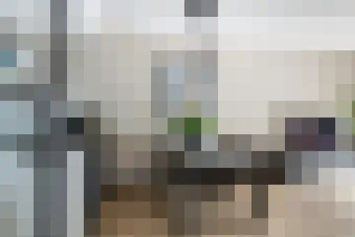 Pijnboomdreef 28 Vlaardingen thumbnail 12