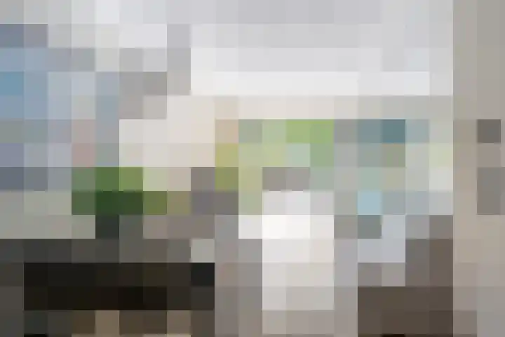 Pijnboomdreef 28 Vlaardingen thumbnail 13