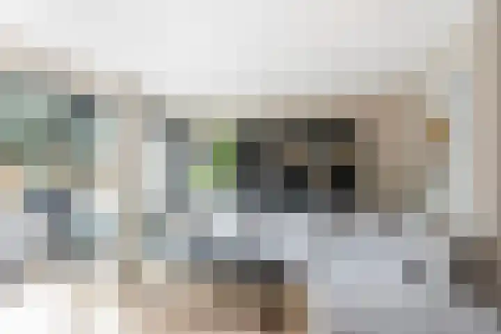 Pijnboomdreef 28 Vlaardingen thumbnail 14