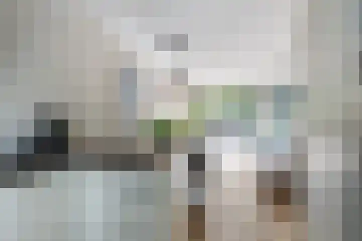 Pijnboomdreef 28 Vlaardingen thumbnail 17