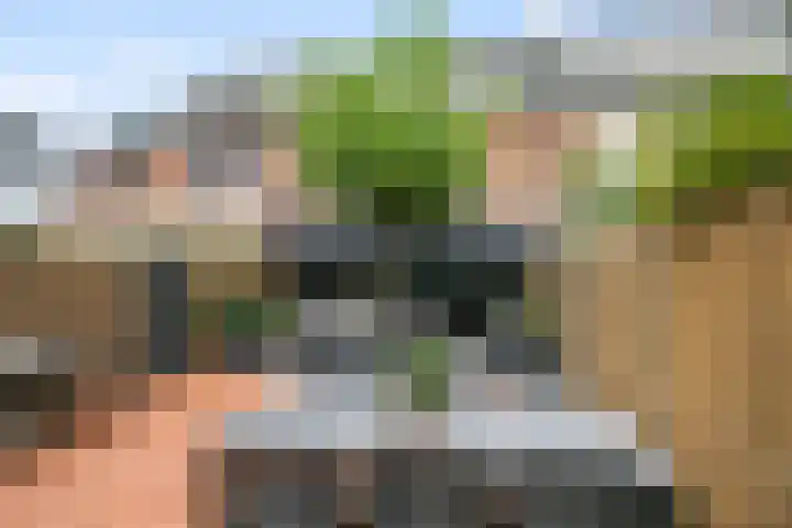 Pijnboomdreef 28 Vlaardingen thumbnail 22