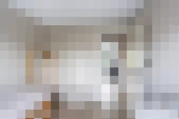 Pijnboomdreef 28 Vlaardingen thumbnail 25