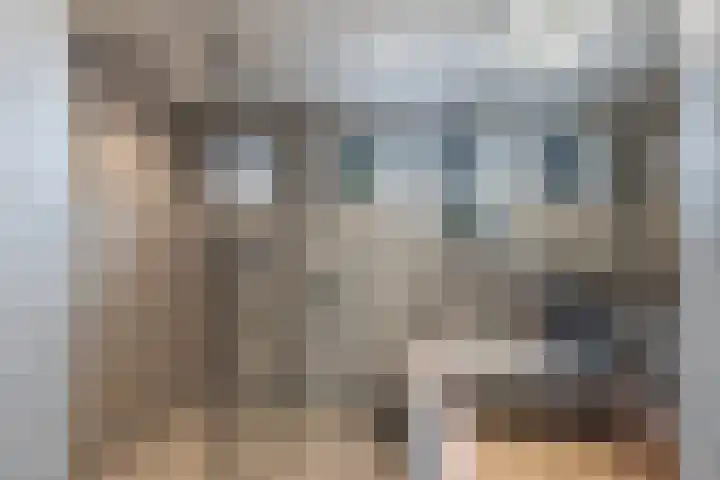Pijnboomdreef 28 Vlaardingen thumbnail 30